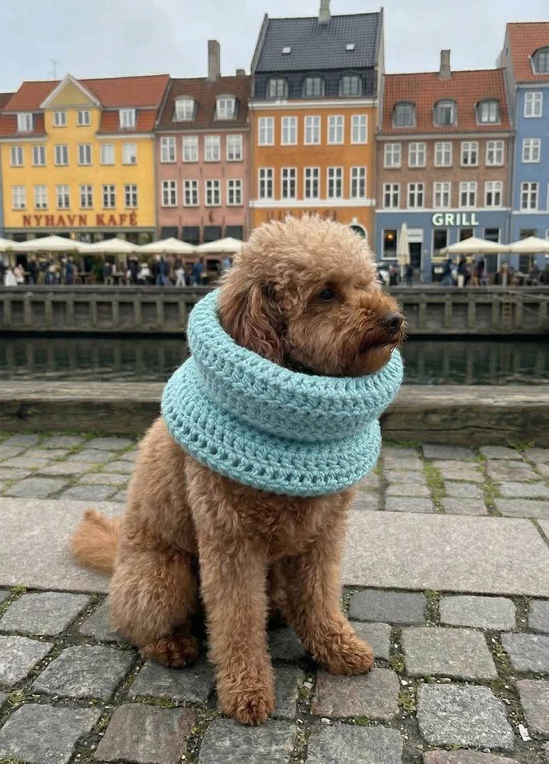 Rex Snood Kit for Pets - Yummy Version